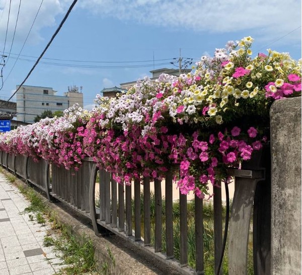 메인사진