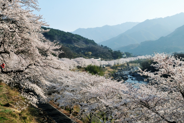 메인사진