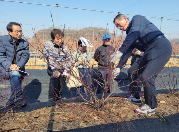 메인사진