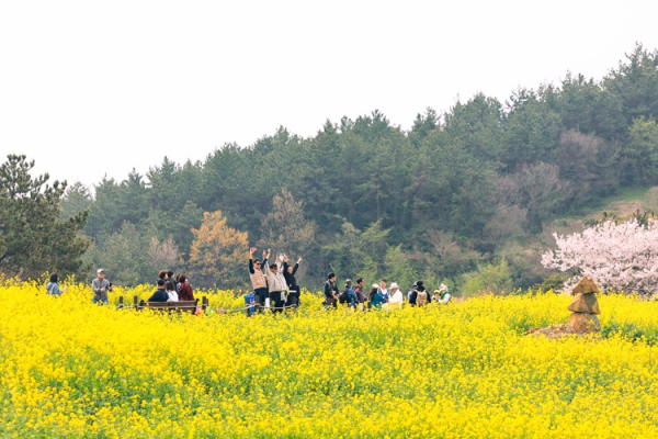 메인사진