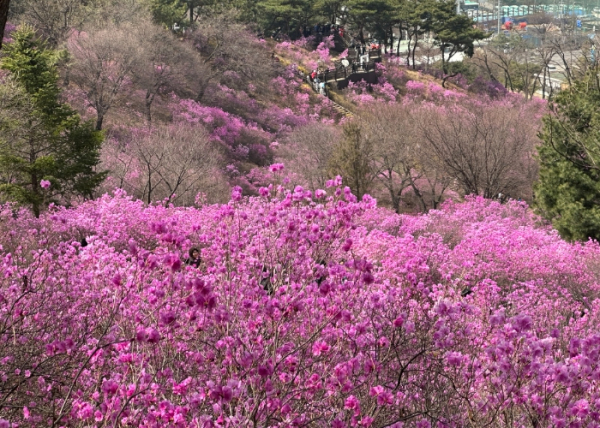 메인사진