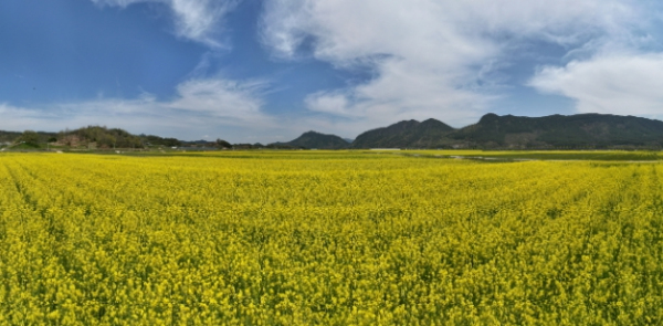 메인사진