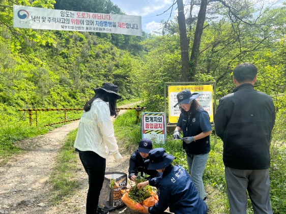 메인사진