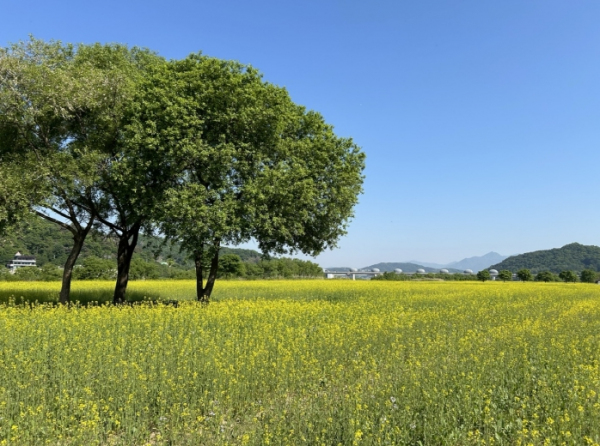 메인사진