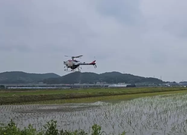 메인사진