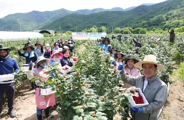 메인사진