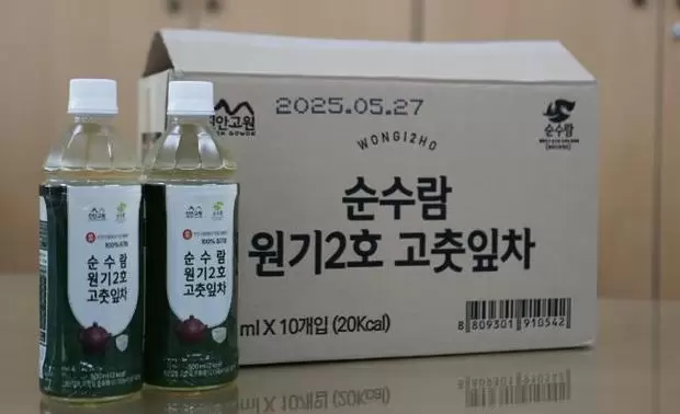 메인사진