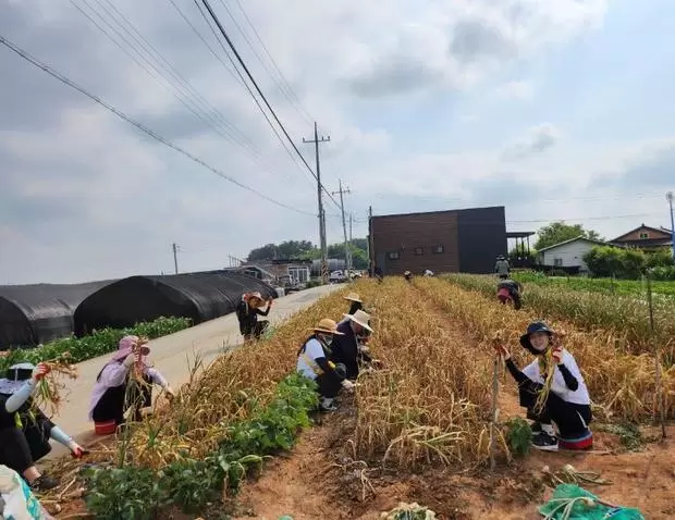 메인사진