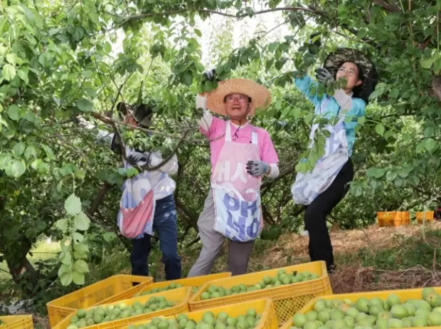 메인사진