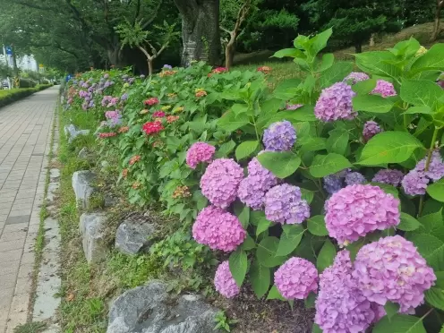 메인사진