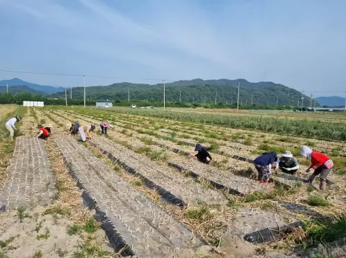 메인사진