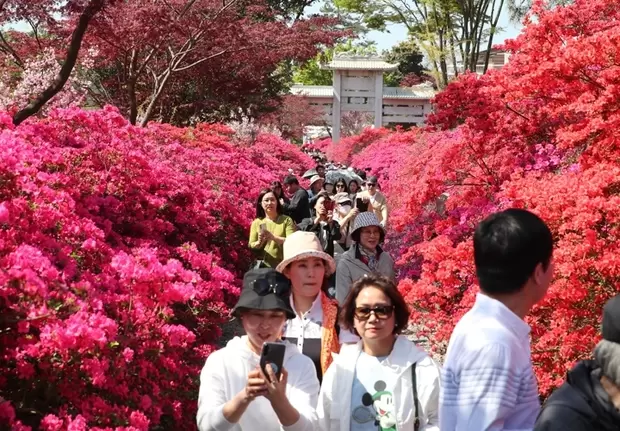 메인사진