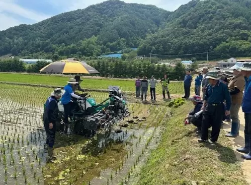 메인사진