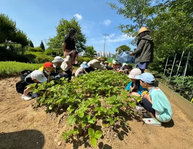 메인사진