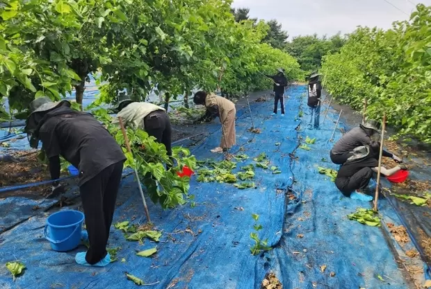 메인사진