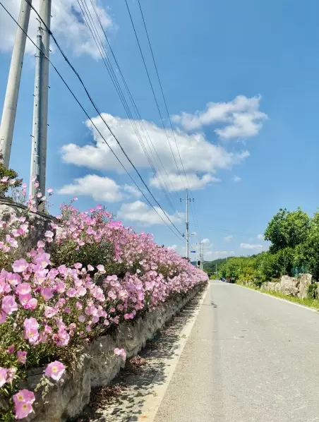 메인사진