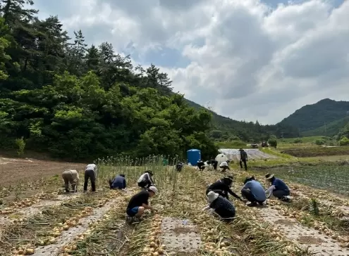 메인사진