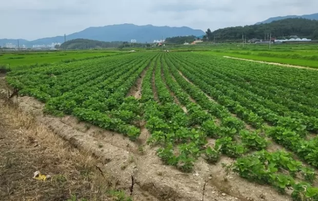 메인사진