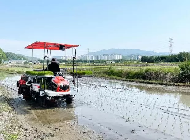 메인사진