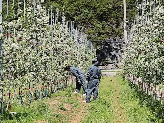 메인사진