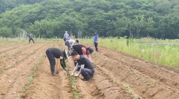 메인사진