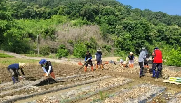 메인사진