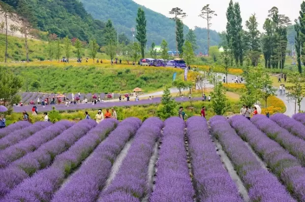 메인사진