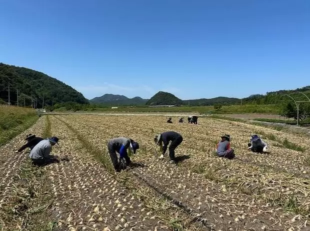 메인사진