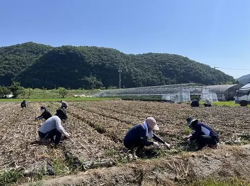 메인사진