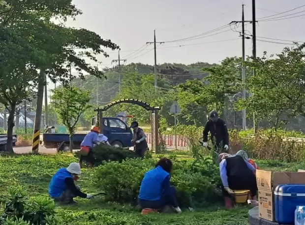 메인사진