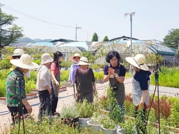 메인사진