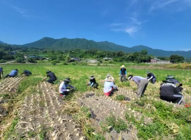 메인사진