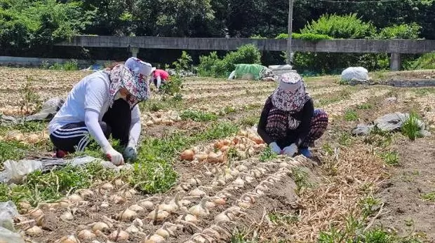 메인사진