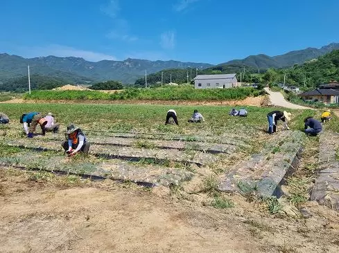 메인사진