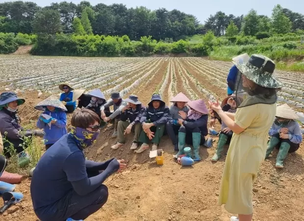 메인사진