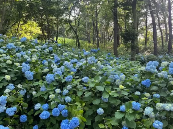 메인사진