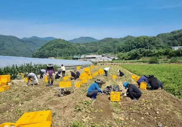 메인사진