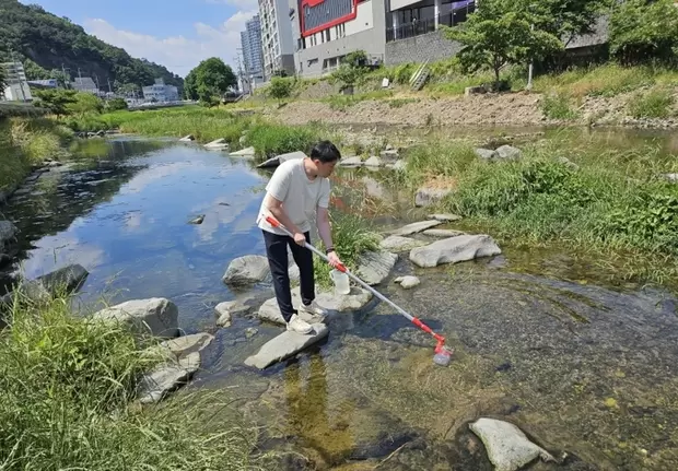 메인사진