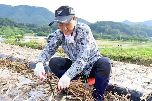 메인사진