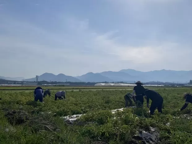 메인사진