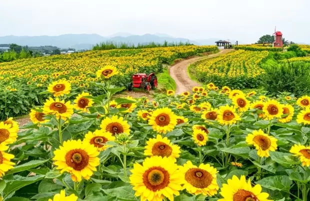 메인사진