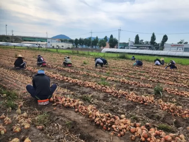 메인사진