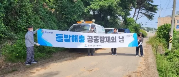 메인사진