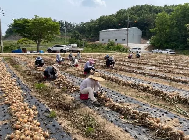 메인사진