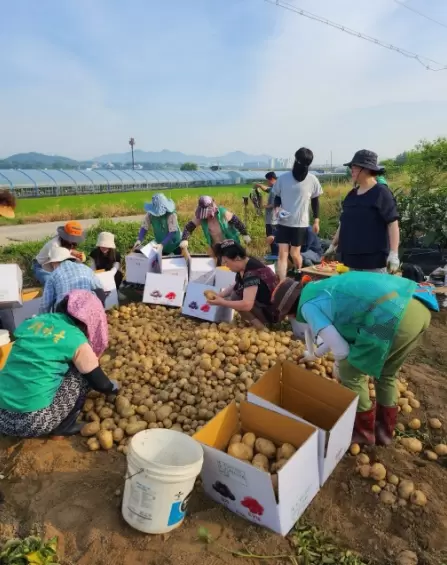 메인사진