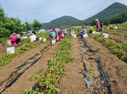 메인사진