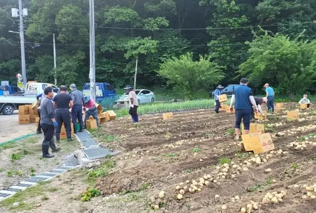 메인사진