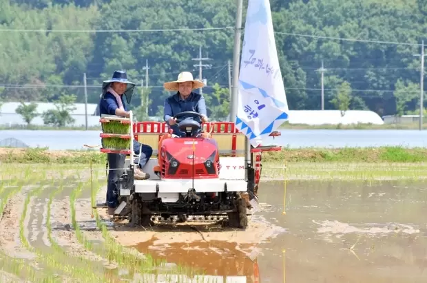 메인사진