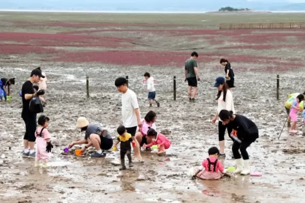 메인사진