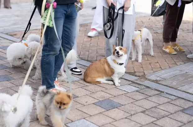 메인사진